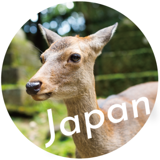 HowTo JAPAN Travel - 日本旅行のススメ